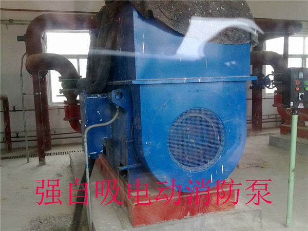 強(qiáng)自吸電動消防泵
